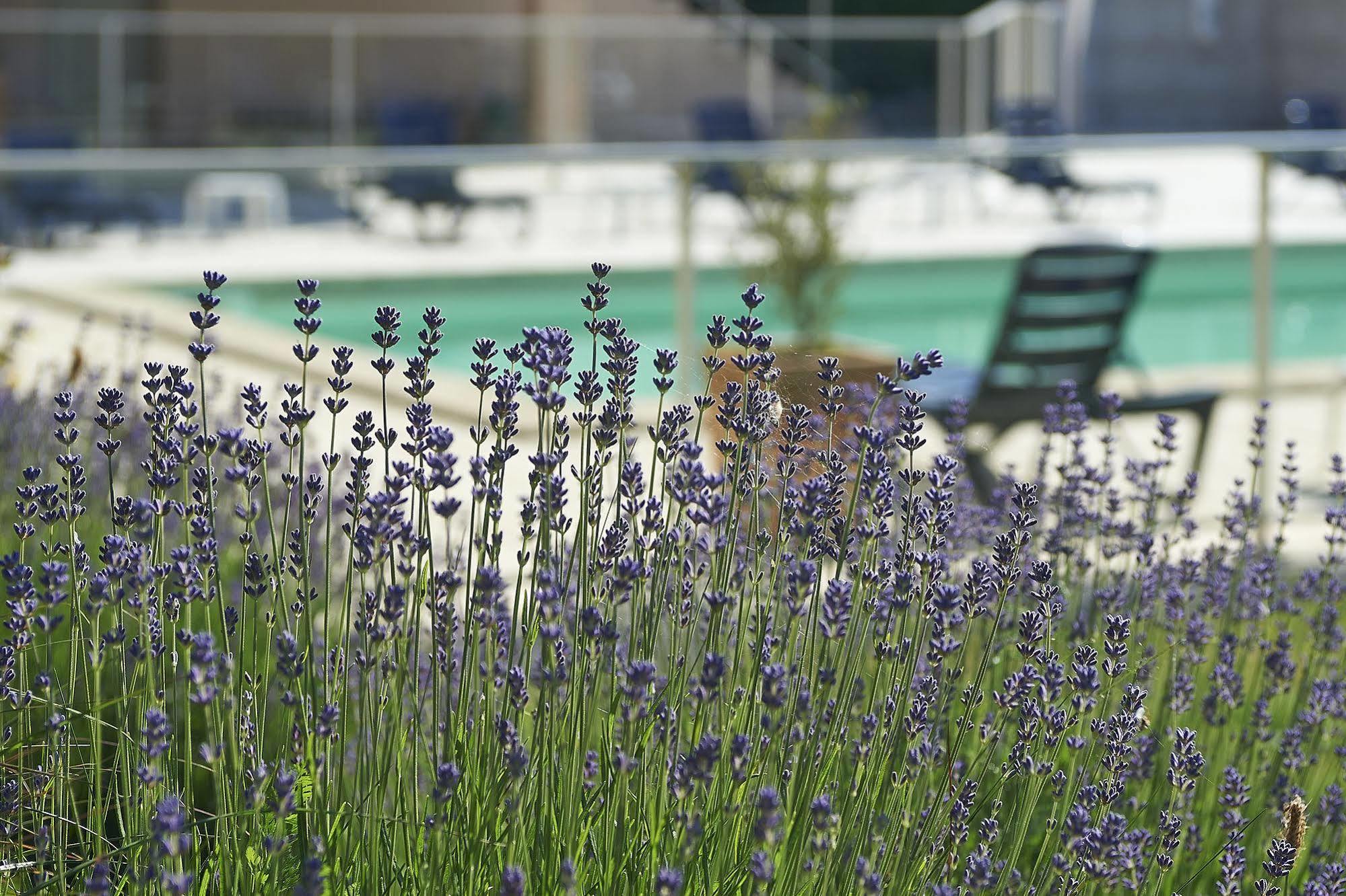 Cit'hotel Les Alizes Hotel Limoges